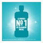 Listerine Enjuague Bucal Mentol 1000 ml