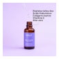 Segle Clinical Restaura Sérum Facial 30ml