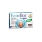 Santiveri Beneflor Pylopass Capsulas