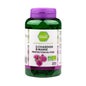 Pharmascience Ginkgo Biloba 200 kapsułek