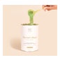 Matcha & Co Matcha Collagen Matcha 300g