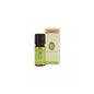 Basil Ess Oil 10Ml