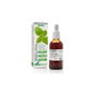 Extracto Melisa Xxl 50 ml Soria Natural
