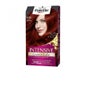 Schwarzkopf Palette Intensive Tinte N6.88 Rojo Rubí 1ud