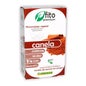 Fito Premium - Cinnamon - Pinisan - 30 Capsules