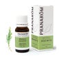 Pranarôm Aceite Esencial de Árbol de Té 10ml