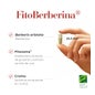 100% Natural FitoBerberina 30caps