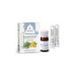 Esential Aroms Phyto Inhalador Memory 5 ml