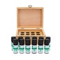 Voshuiles Aromatherapy Set 12 Essential Oils