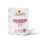Ana Maria Lajusticia Collagen Magnesium Strawberry 20 Sticks