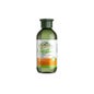 Corpore Sano Champu Aloe goji 300 M Hidratante
