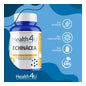 H4U equinácea 500mg 100 Tabletten