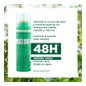 Klorane Champú Seco a la Ortiga Cabello Castaño 150 ml
