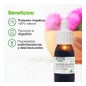 Soria Natural Milk Thistle Extract 50ml