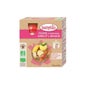 Babybio My Fruits Calabaza de Manzana Albaricoque Banana Orgánico 6 Meses 4 X90 g