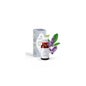 Esential Mist Aromática Sueño 15ml