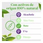 Arkopharma Arkofluido Alcachofa Forte Ultraconcentrado + Aloe Vera 20ampollas