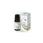 Aceite Esencial Naturactivo Orgánico Niaouli 10 ml