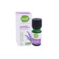 Pharmawissenschaft Lavand aus Hebio