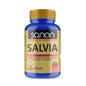 Sanon Salvia 100tabs 500mg