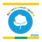 Evax Salvaslip Flexi&Fresh Normal 44 uds