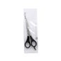 Xanitalia Professional Forbici Taglio Inox Academia 55