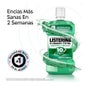 Listerine Enjuague Bucal Protección Dientes y Encías Menta Fresca 250ml