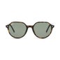 Ray-Ban Thalia Rb2195 902 31 Havana Green 1ud