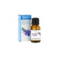 Humidor Essências Prim Lavanda 15 ml