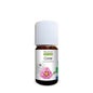 Propos Nature Bio Ätherisches Öl Cistus 5ml