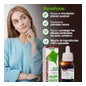 Compositore 41 Complesso Gincox Xxi Soria Nat