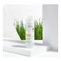 A-Derma Exomega Control gel Espumoso Emoliente 200 ml