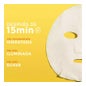Garnier Skin Active Vitamina C Tissue Mask 1 ud