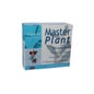 Master Plant Harpagofito 10 Ampollas de 10 ml