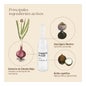 Nuggela & Sule Premium Anticaida Tto Effectieve Ampullen 4 U X X 10 Ml