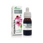 Echinacea extract Xxi 50 Ml Soria Natur