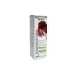 Soria Natural Echinacea Extract 50ml