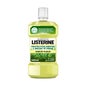 Listerine Enjuague Bucal Protección Dientes y Encías Té Verde Sabor Suave 500ml