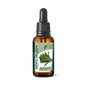 GHF Diente De León 60ml