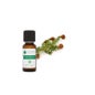 Voshuiles Aceite Esencial de Tsuga de Canadá 5 ml