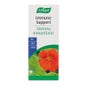 A. Vogel Immune Support 30 comp