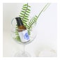 All Natural Blooming Lifting Essence 40ml