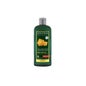 Logona Champú Voluminizador 500 ml