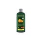 Logona Champú Voluminizador 500 ml