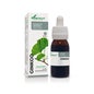 Ginkgo Extract 50 ml Xxi Soria Natural