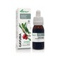 Extract Gayuba Xxi 50 Ml Soria Natural