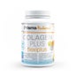 Prisma Naturale Colagene Plus Flexiplus 300 Gr