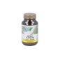 Cfn Bifidusflora 5000 Polvo 100 g