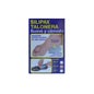 Silipax Heel Pad Size M 38-40