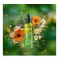 Weleda Skin Food Aceite Seco Ultraligero 100ml